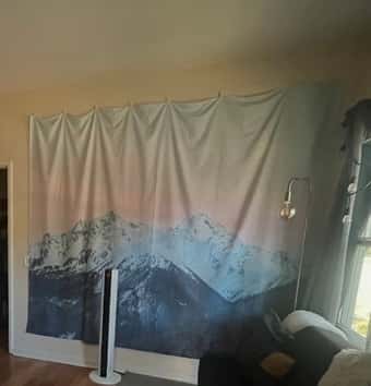 FREE STUFF - Moving (plus a few things for sale) 3