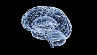 Interested in prediabetes and brain aging? Join our study and earn $25 1