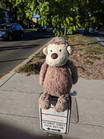 Found: monkey plush toy on Sand Hill Rd/Oak Creek Apts 1
