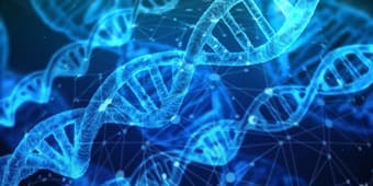 YC / StartX Anti-Aging Therapeutic Startup Hiring Part-Time $20 per hr 1