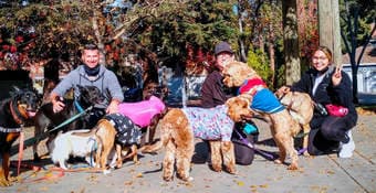 Part-Time Dog Walker at Good Sit Dogwalking 1