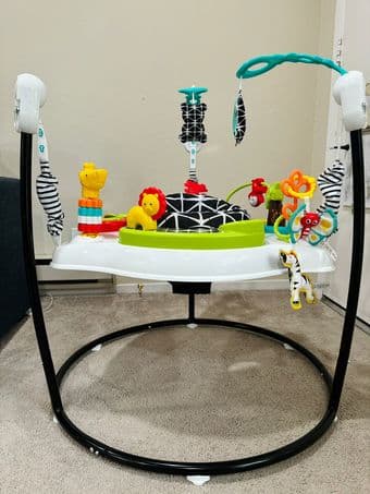 Fisher-Price Baby Bouncer 2