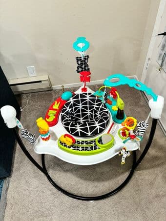 Fisher-Price Baby Bouncer 3
