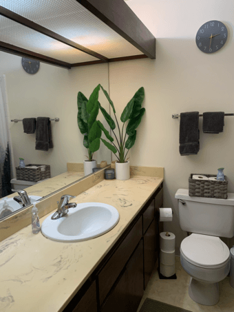 One bedroom, Sunnyvale 1