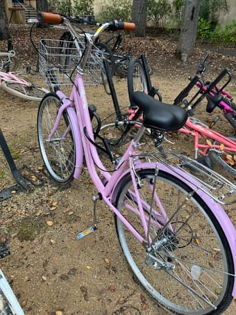 Selling Women’s Bike 1