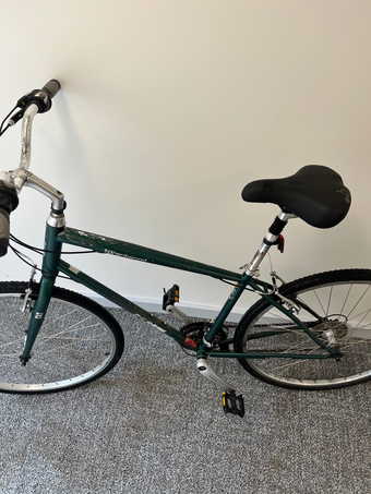 Amazing Green Brentwood Bike 1