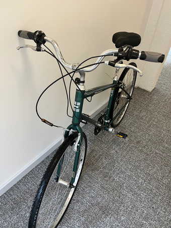 Amazing Green Brentwood Bike 2