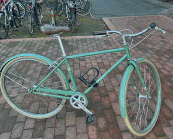 Green V1 Public Diamond Bike 1