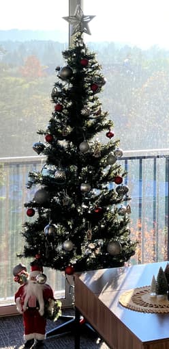 Selling Christmas tree + decor 1