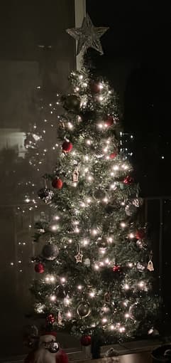 Selling Christmas tree + decor 2