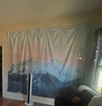 FREE STUFF - Moving (plus a few things for sale) 3