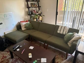 green couch and ottoman! 2