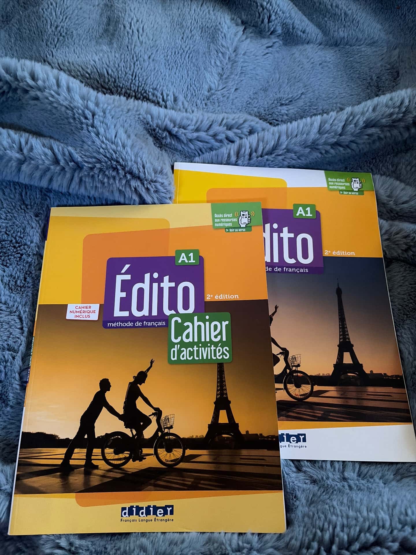 French A1 books new 1