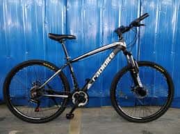 Mountain Bike 1