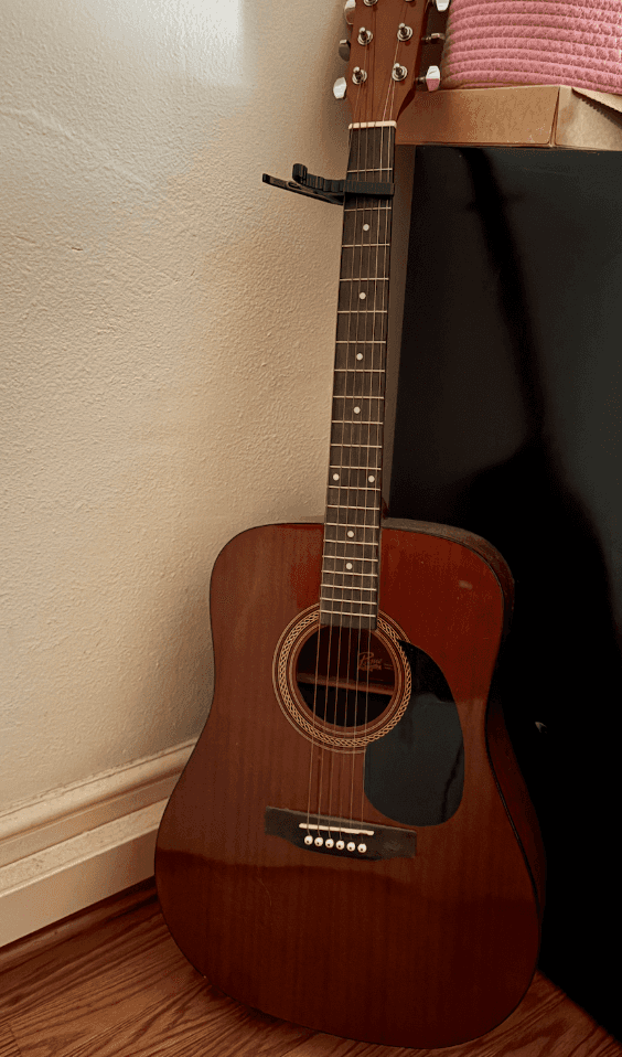 Guitar For Sale 1