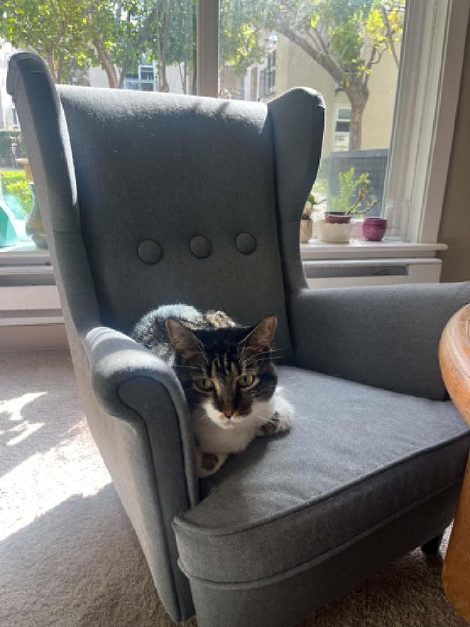 kids sized armchair 1