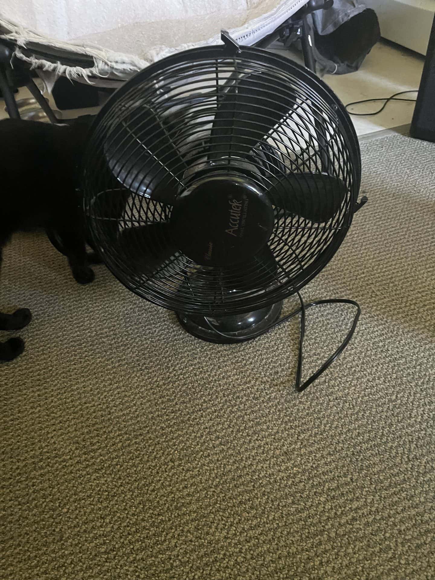 fan 1