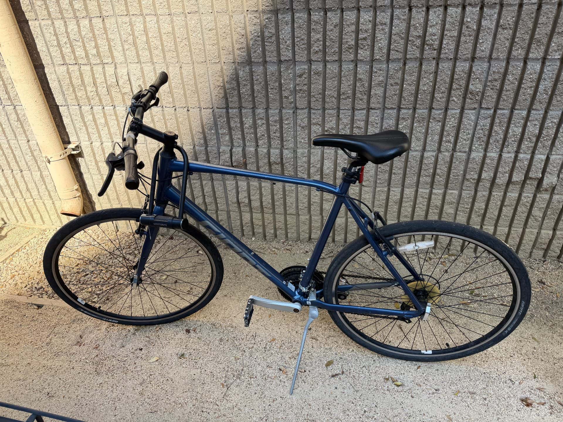 GIANT ESCAPE XL 1